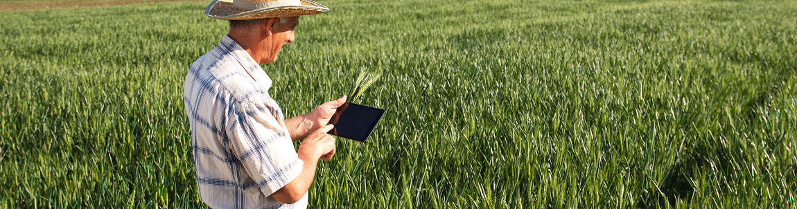 usuario de internet satelital rural